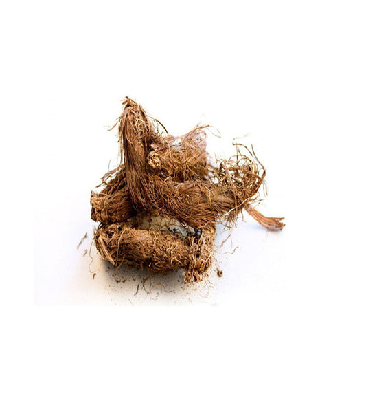 Musk Root (Jatamansi) 100G