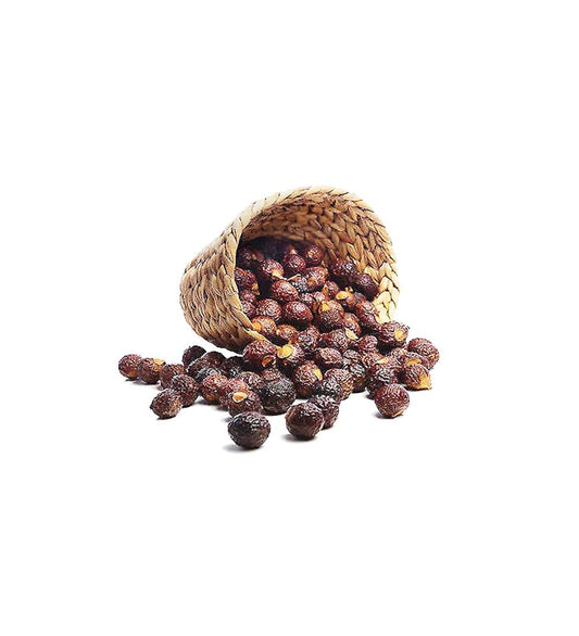 Soapnuts/Reetha/Kunkudukai (Arishtak in Ayurveda) (Raw Substance)