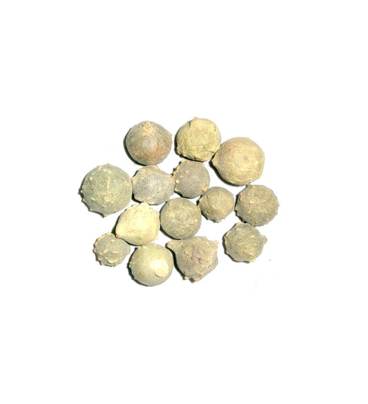 Gall Nut | Majuphal | Machi Kayalu 50g (Raw Substance)