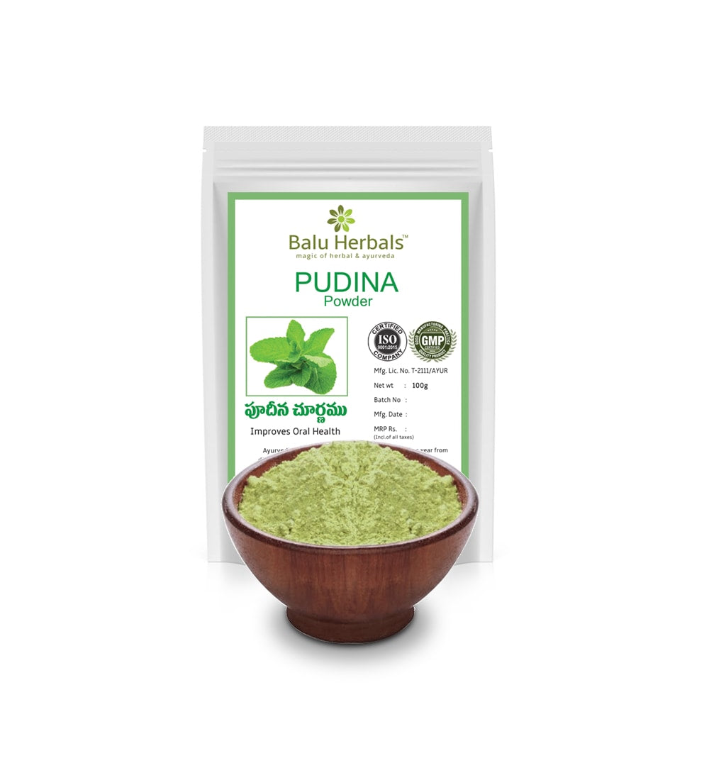 Pudina Powder