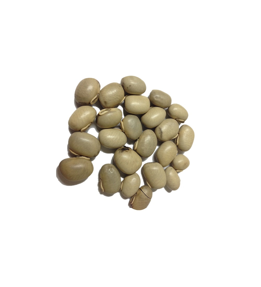 Tella  Dulagondi | White Cowhage Seeds | Safed Kaunch Beej 100g (Raw Substance)